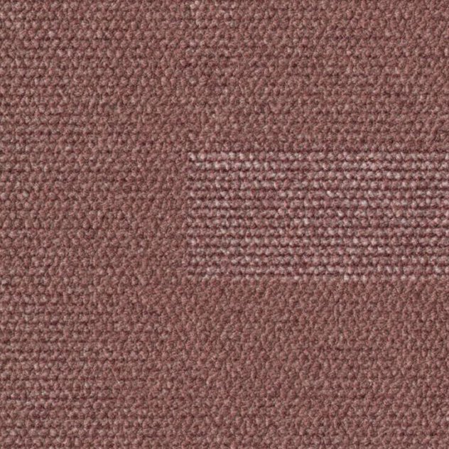 140 Braun, Rosa
