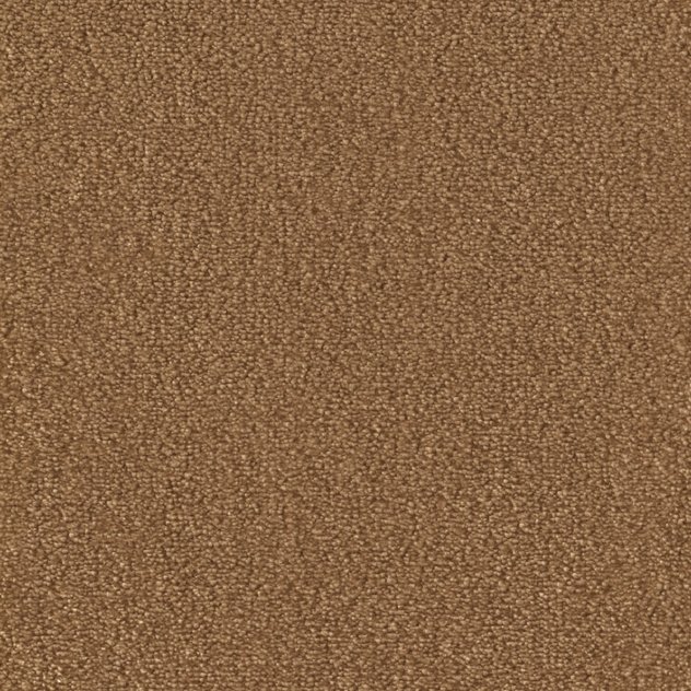 Cosy-Gloss Dekor 231