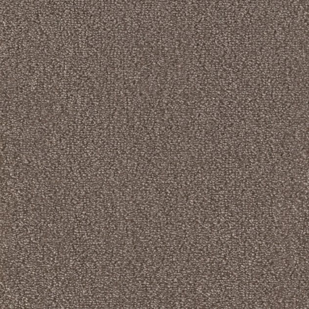 Cosy-Gloss Dekor 861
