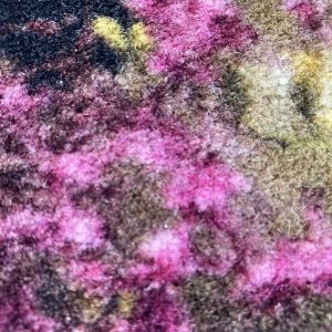 Congress-Domingo 1150